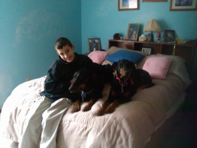 boy with dogs